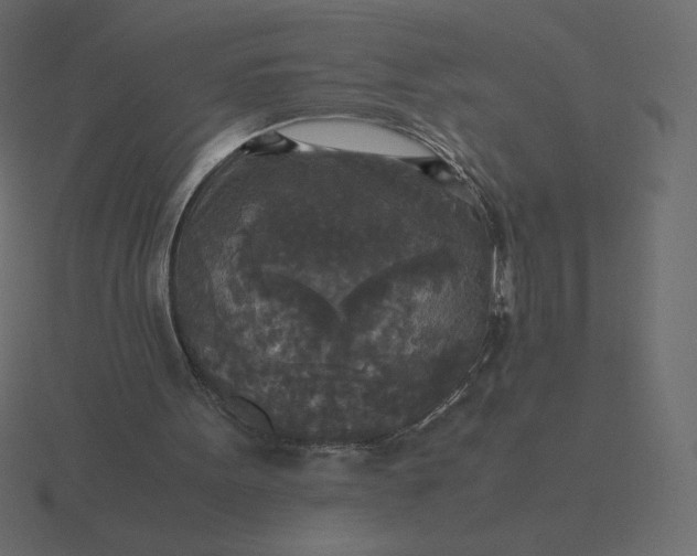 X0000116580099200912241702