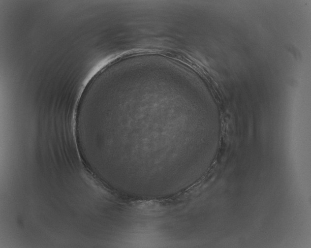 X0000116580100200912241702