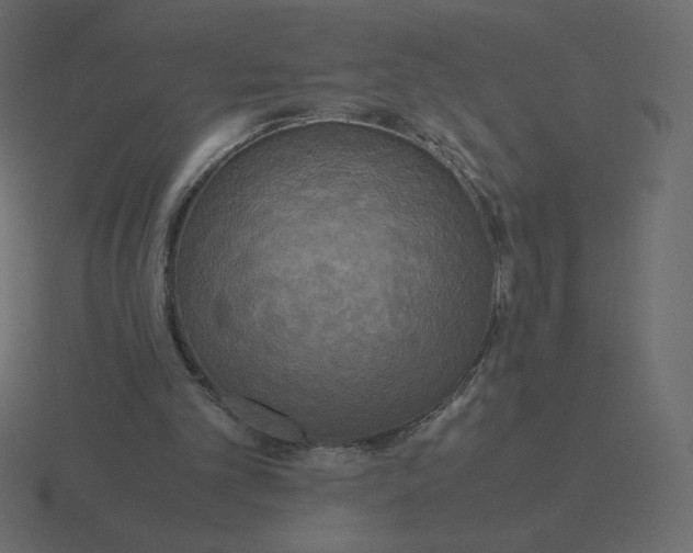 X0000116580101200912241702