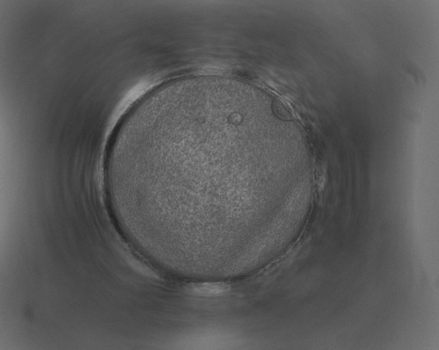 X0000116580102200912241702