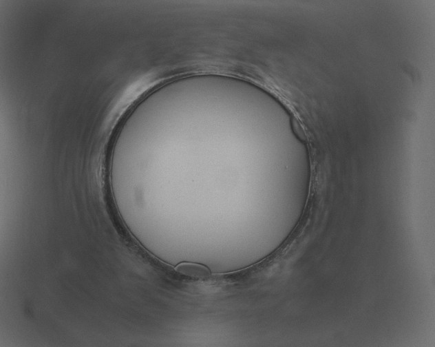 X0000116580103200912241702