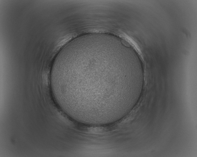 X0000116580105200912241702