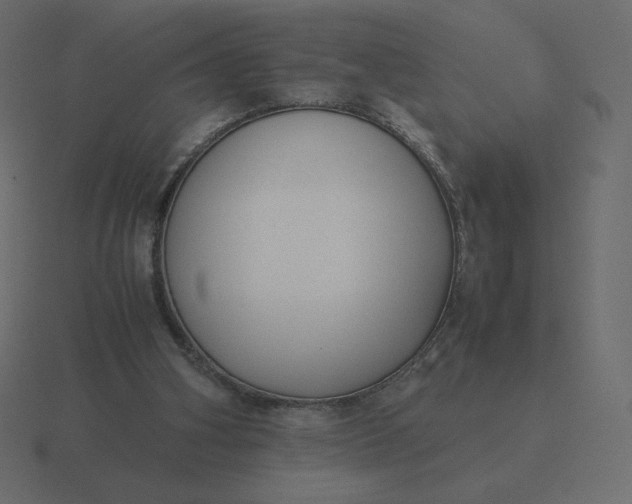 X0000116580106200912241702