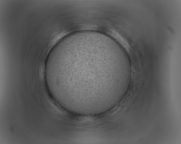 X0000116580107200912241702