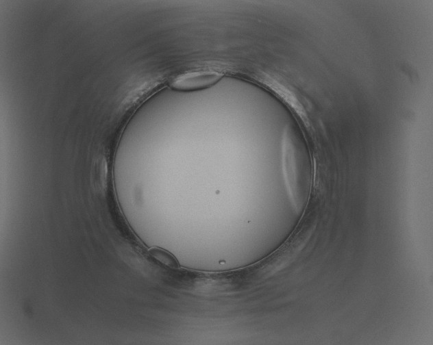 X0000116580109200912241702