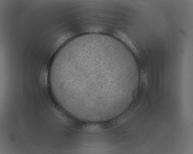 X0000116580110200912241702