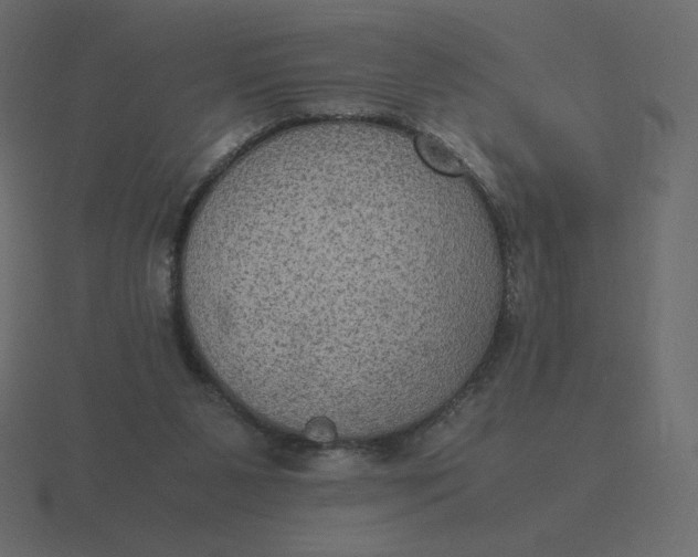 X0000116580111200912241702