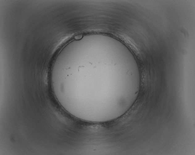 X0000116580112200912241702