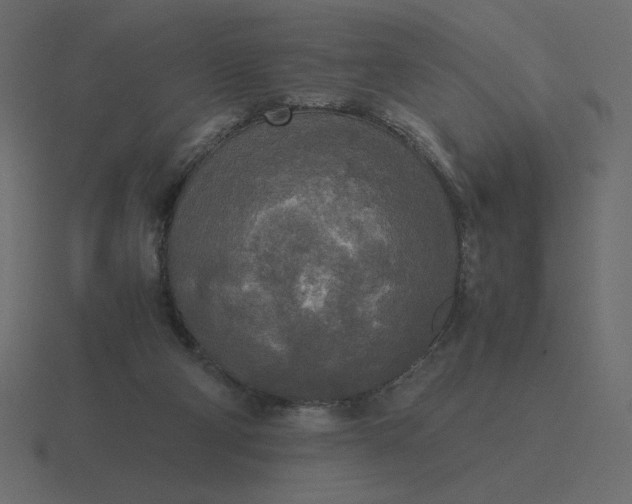 X0000116580114200912241702