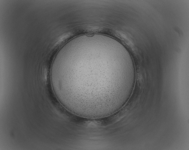 X0000116580115200912241702