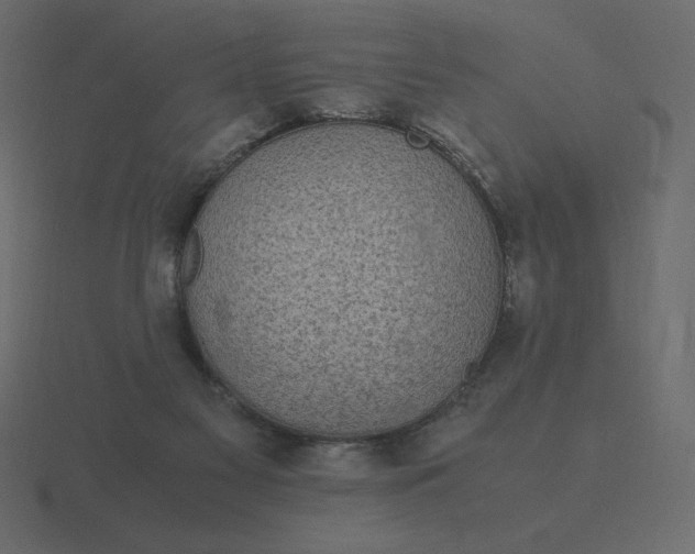 X0000116580117200912241702