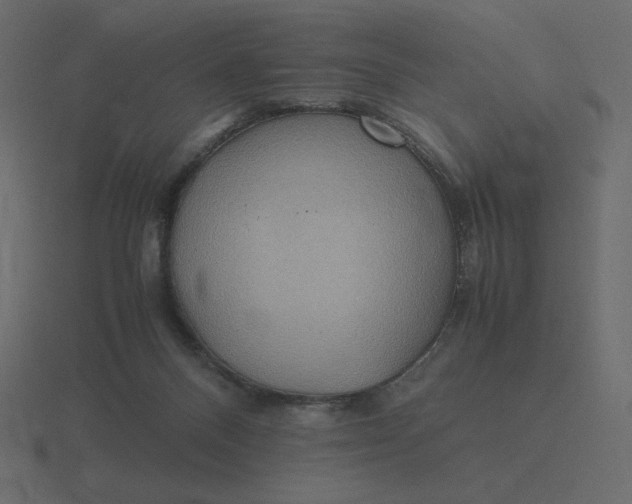 X0000116580120200912241702