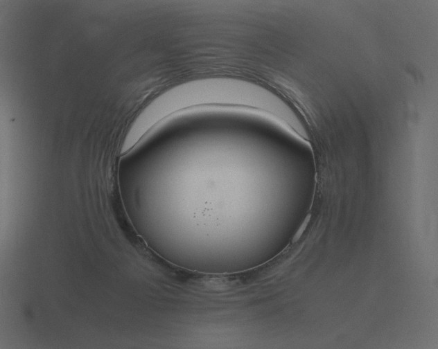 X0000116580121200912241701