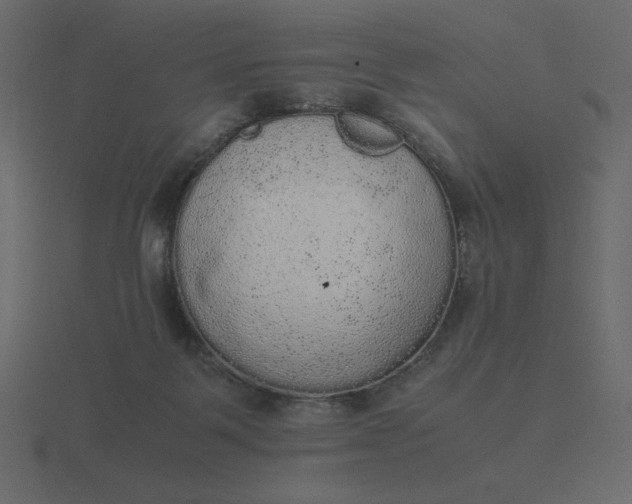 X0000116580123200912241701