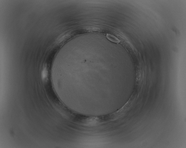 X0000116580124200912241701