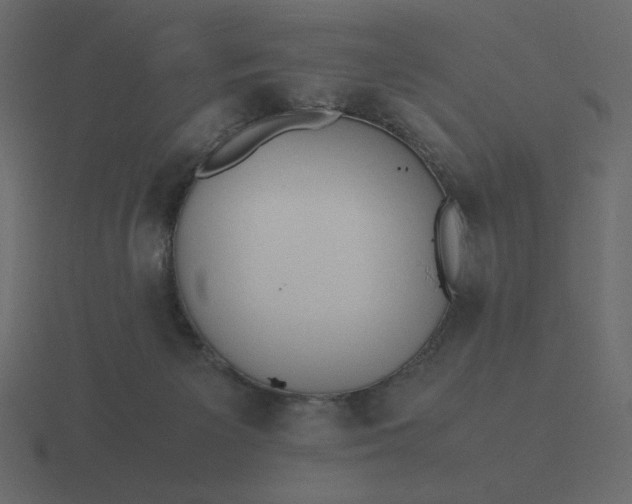 X0000116580125200912241701