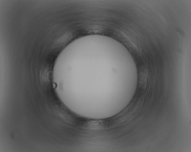 X0000116580126200912241701