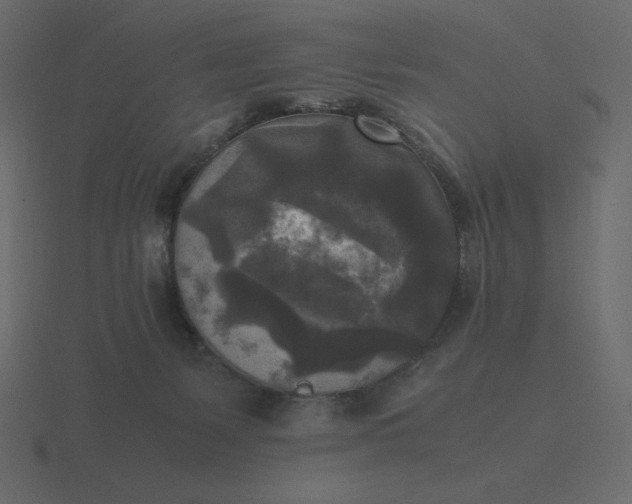 X0000116580127200912241701