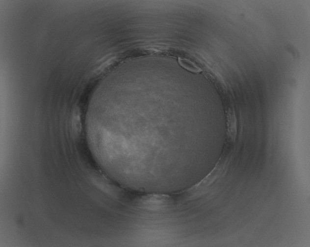 X0000116580128200912241701