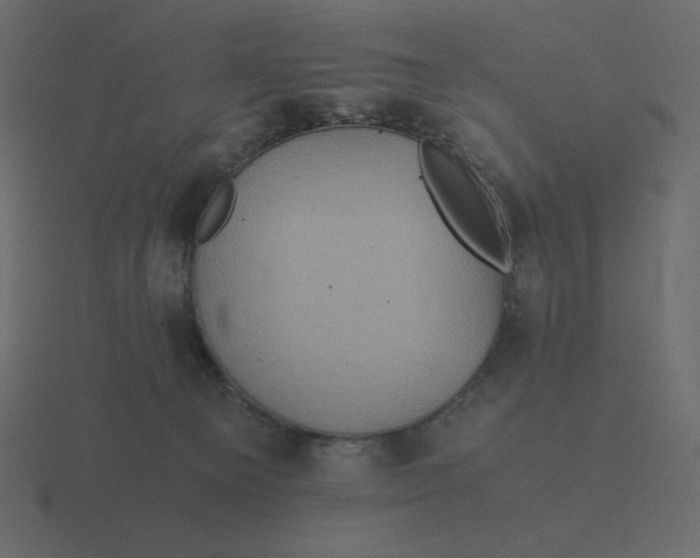 X0000116580129200912241701