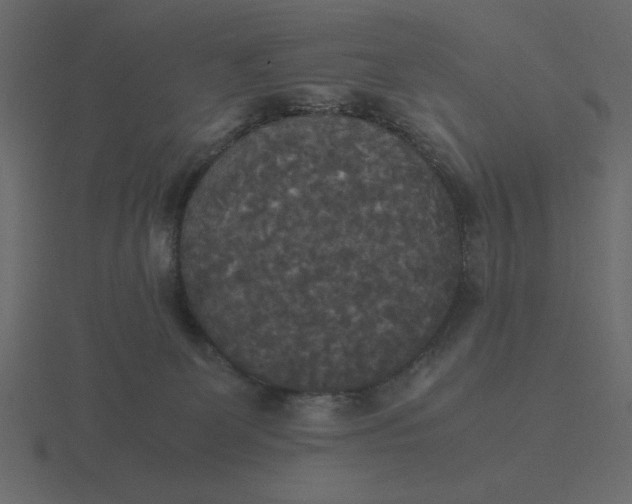 X0000116580131200912241701