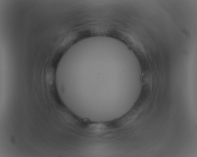 X0000116580133200912241701