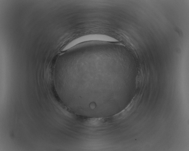 X0000116580136200912241701