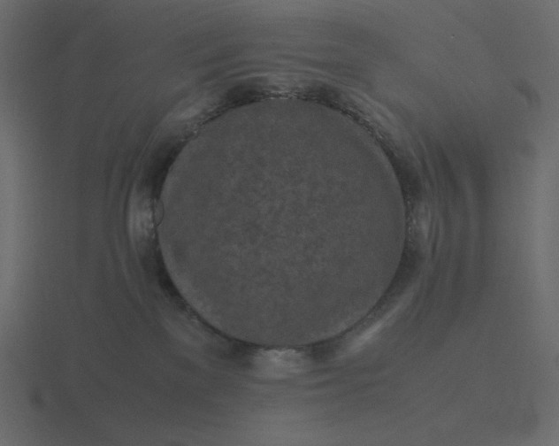 X0000116580137200912241701