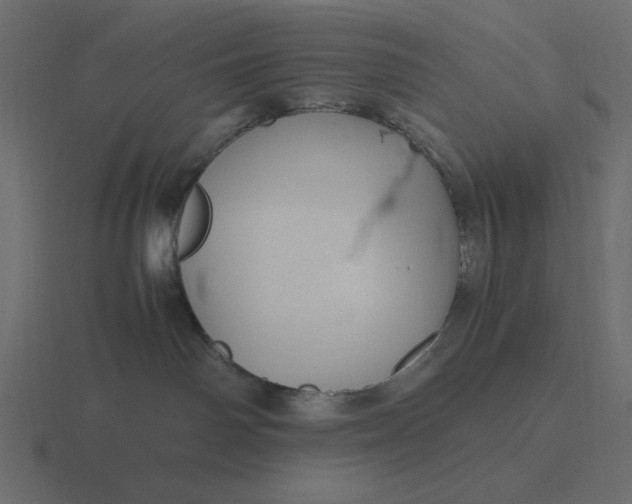 X0000116580142200912241701