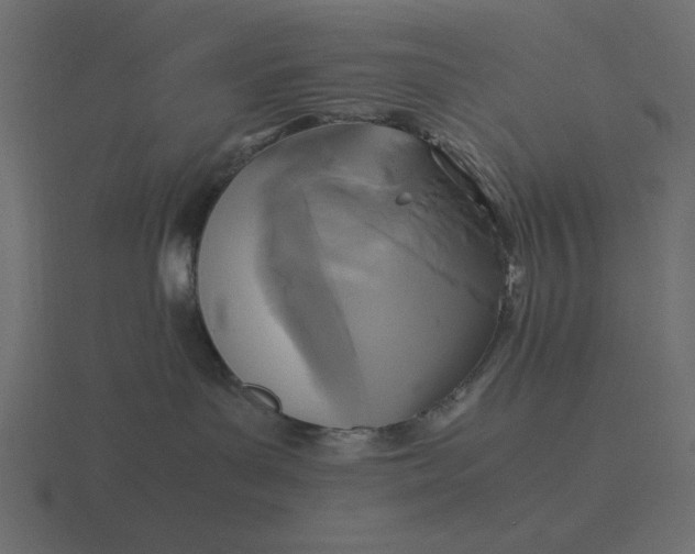 X0000116580143200912241701