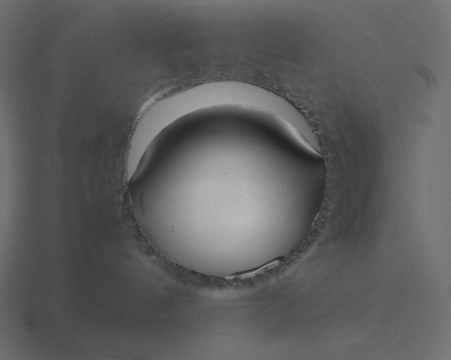 X0000116580144200912241701