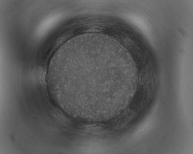 X0000116580146200912241701