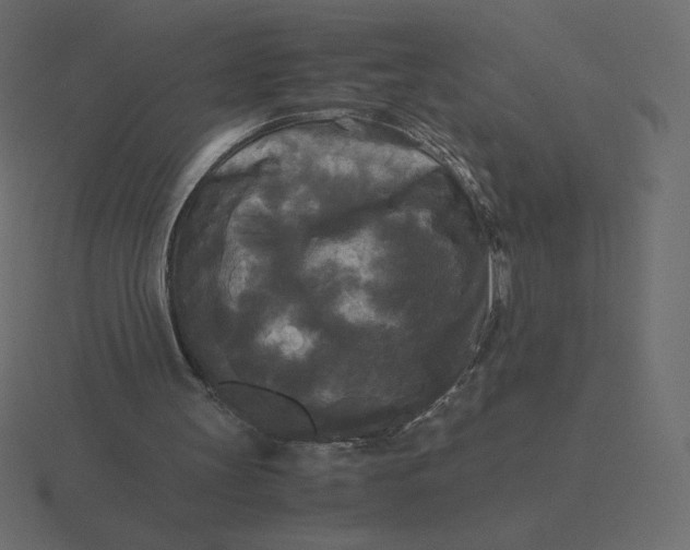 X0000116580147200912241701