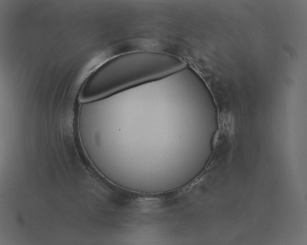 X0000116580150200912241701