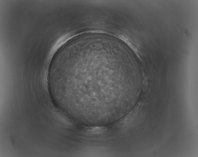 X0000116580151200912241701