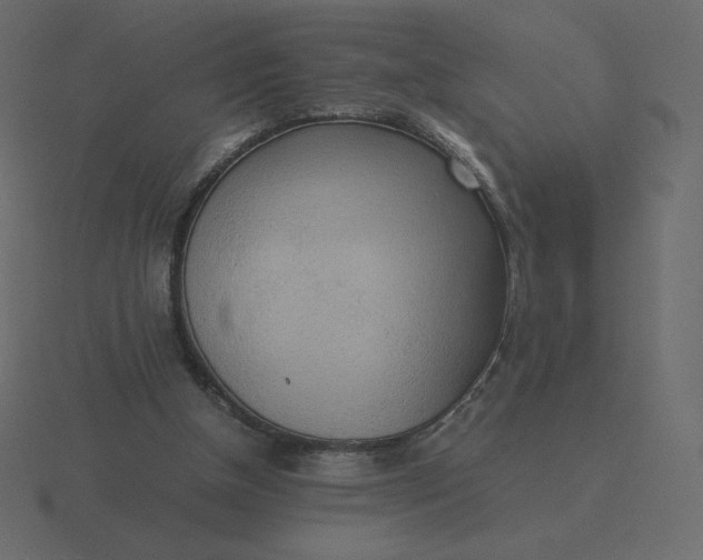 X0000116580154200912241701