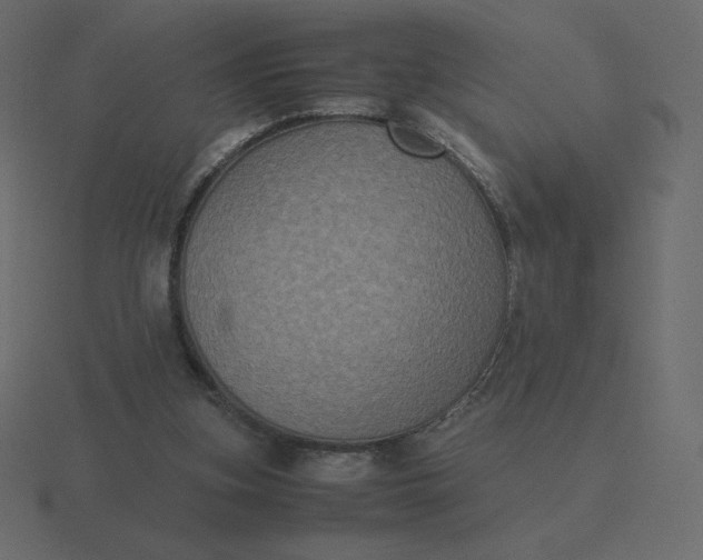 X0000116580155200912241701