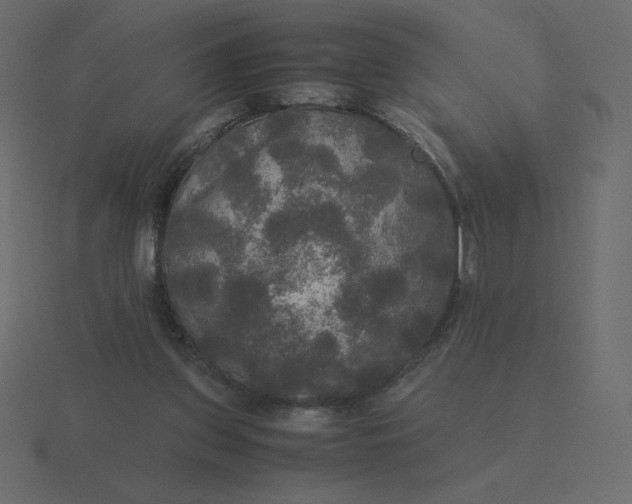 X0000116580157200912241701