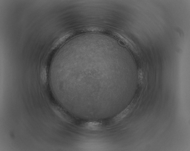 X0000116580158200912241701