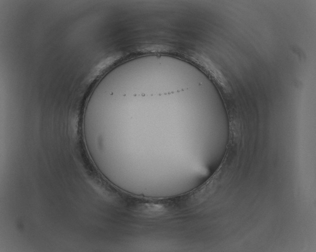 X0000116580159200912241701