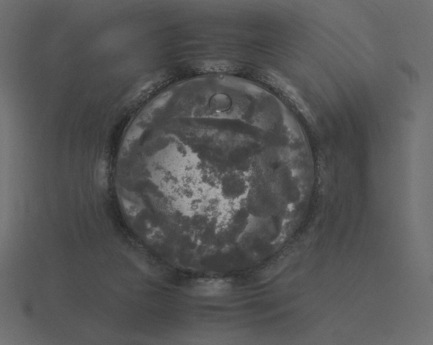 X0000116580161200912241701