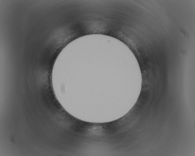 X0000116580162200912241701