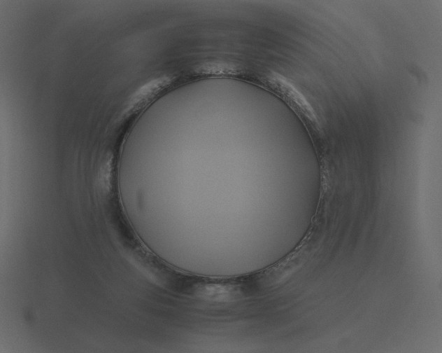 X0000116580163200912241701