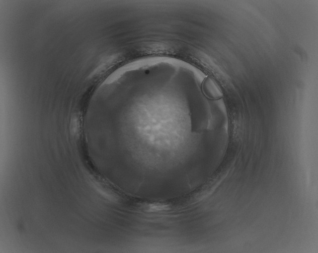 X0000116580165200912241701