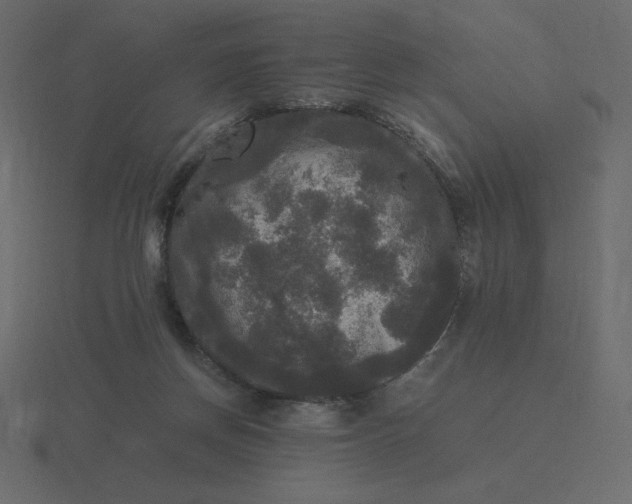 X0000116580166200912241701