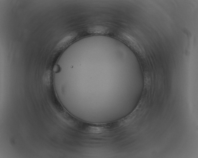 X0000116580167200912241701