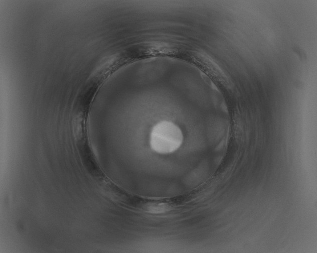 X0000116580169200912241701