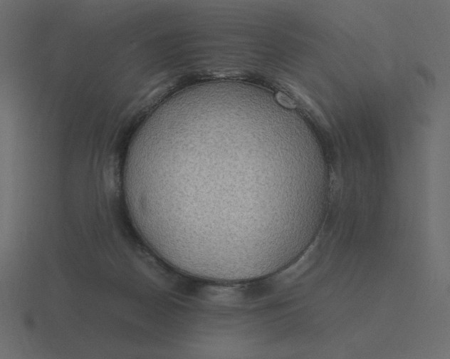 X0000116580170200912241701