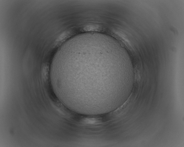 X0000116580171200912241701