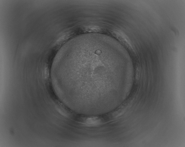 X0000116580173200912241701